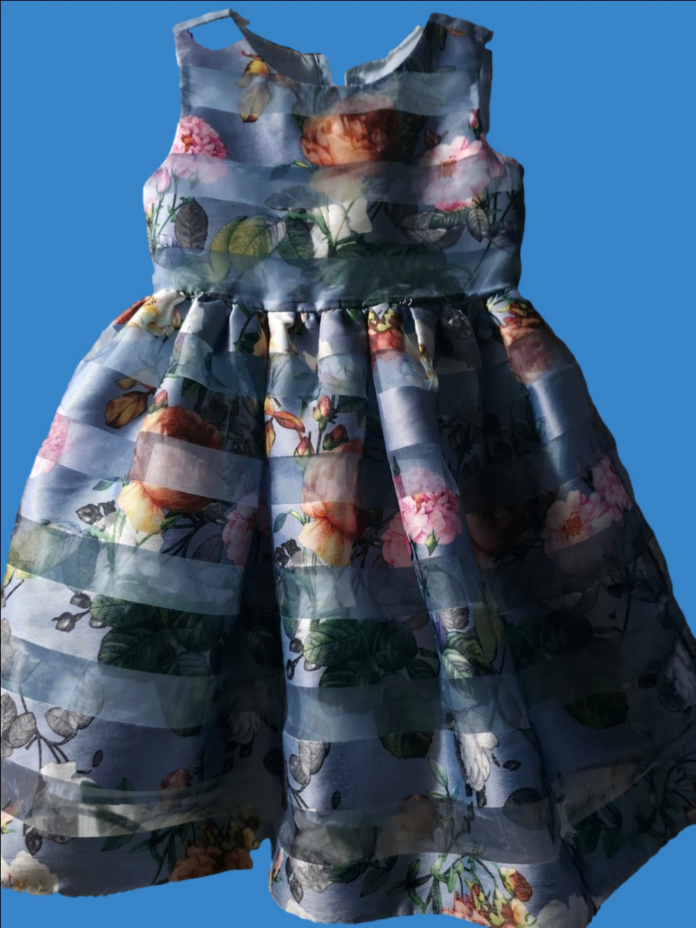 4/$25 Deal! Blue Floral Organza Girls' Party Dress